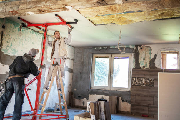 Best Insulation Replacement Services  in Teutopolis, IL