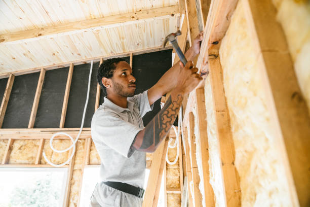 Best Insulation for New Construction  in Teutopolis, IL