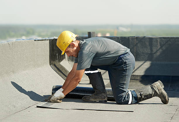Best Professional Insulation Contractor  in Teutopolis, IL