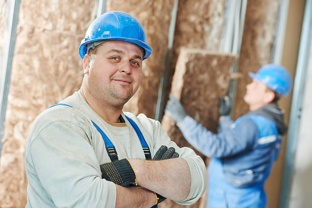 Best Affordable Insulation Services  in Teutopolis, IL