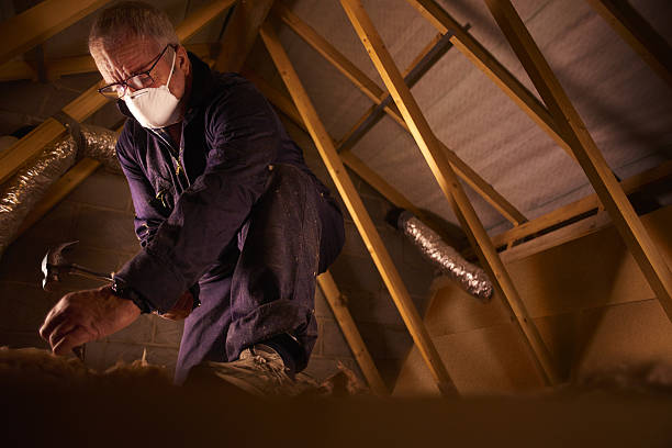 Best Home Insulation Services  in Teutopolis, IL